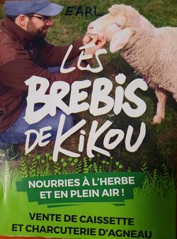 KI generiert: Das Bild zeigt eine Werbeanzeige für "Les Brebis de Kikou" mit einem Mann, der ein Schaf streichelt. Es wird hervorgehoben, dass die Schafe auf der Weide und im Freien gefüttert werden, und es werden Lammkisten und Wurstwaren zum Verkauf angeboten.
