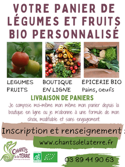 KI generiert: Das Bild ist eine Werbung für einen personalisierten Bio-Obst- und Gemüsekorb, der online bestellt und geliefert werden kann. Es betont die Flexibilität bei der Auswahl und Anpassung der Waren ohne vertragliche Bindung.