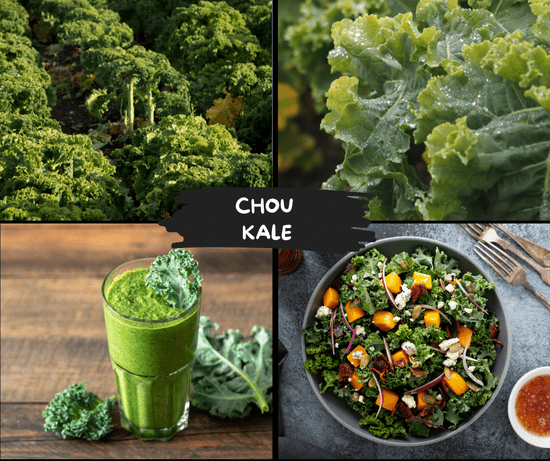 KI generiert: Das Bild zeigt verschiedene Anwendungen und Darstellungen von Grünkohl: eine Grünkohlfarm, ein Nahaufnahmen von Blättern, ein grüner Smoothie und ein Salat mit Grünkohl. Der Hauptinhalt des Bildes ist die Vielseitigkeit von Grünkohl in der Küche.