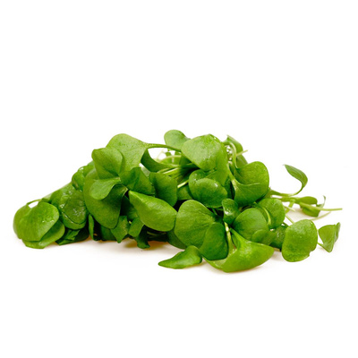 Photo de produit pour Pourpier