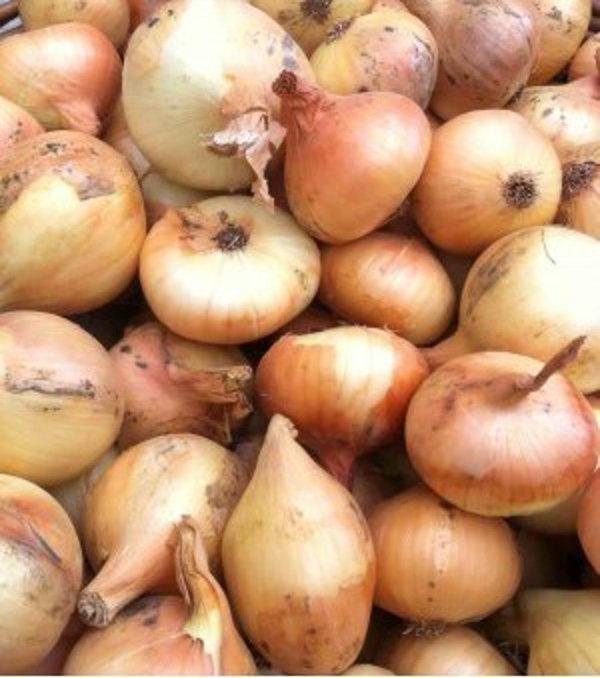 Photo de produit pour Oignon jaune demi sec