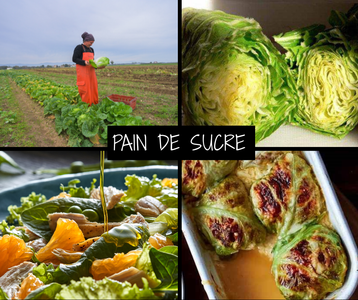 KI generiert: Das Bild zeigt ein gebackenes Gericht aus Kartoffeln und möglicherweise weiteren Zutaten wie Zwiebeln und Gemüse in einer rechteckigen Form. Eine Gabel und ein Löffel liegen darauf.