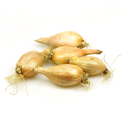 Photo de produit pour Echalote