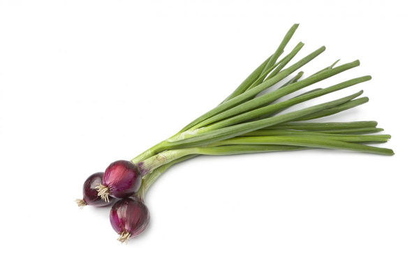 Photo de produit pour Oignon rouge botte