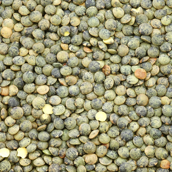 Photo de produit pour Lentilles vertes de 2,5kg cultivée en France