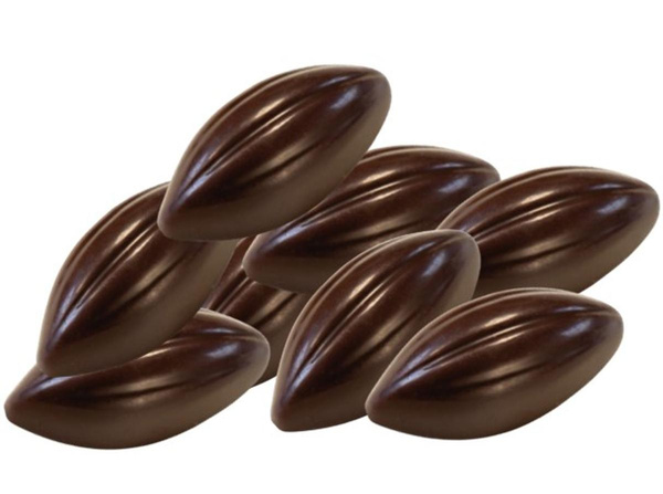 Photo de produit pour Palets chocolat noir équitable 58% 500g