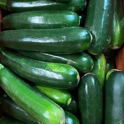 Photo de produit pour Grosse courgette