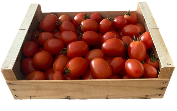 Photo de produit pour Tomate mûre pour sauce 5kg (disponibilité incertaine selon stock)
