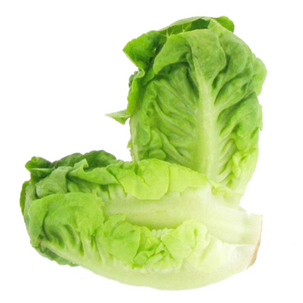 Photo de produit pour Salade sucrine