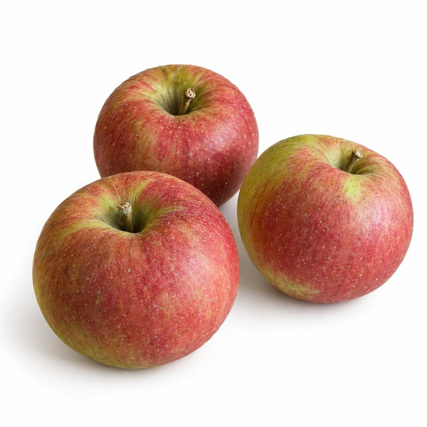 Photo de produit pour Pomme Wellant