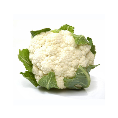 Photo de produit pour Petit chou fleur