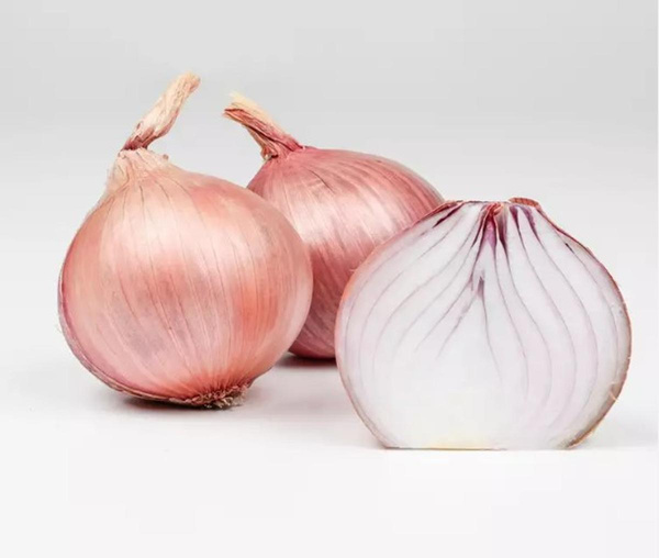 Photo de produit pour Oignon rose