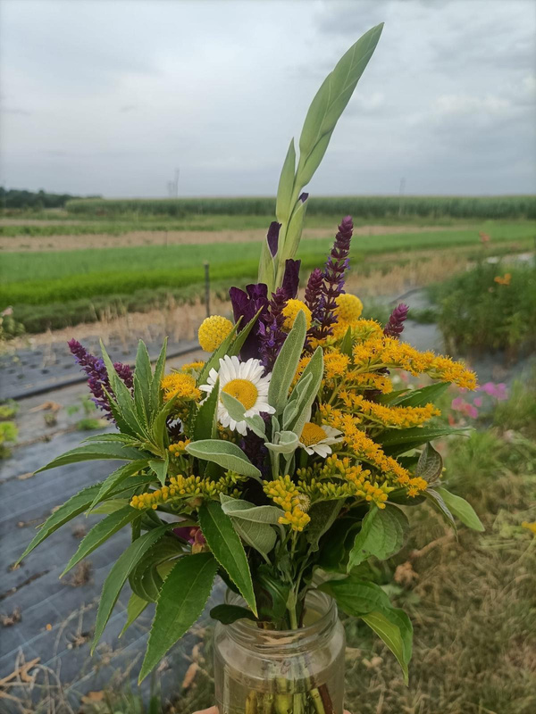 Photo de produit pour Bouquet fleurs de saison (disponibilité incertaine)