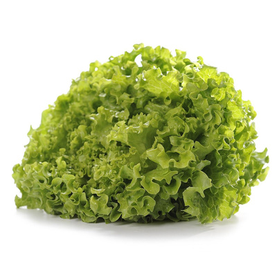 Photo de produit pour Batavia verte