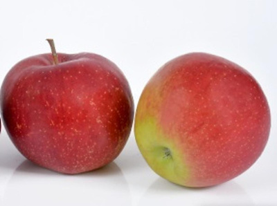 Photo de produit pour Pomme Wellant