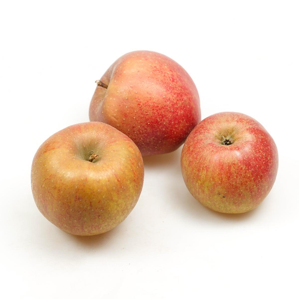 Photo de produit pour Pomme Boscoop