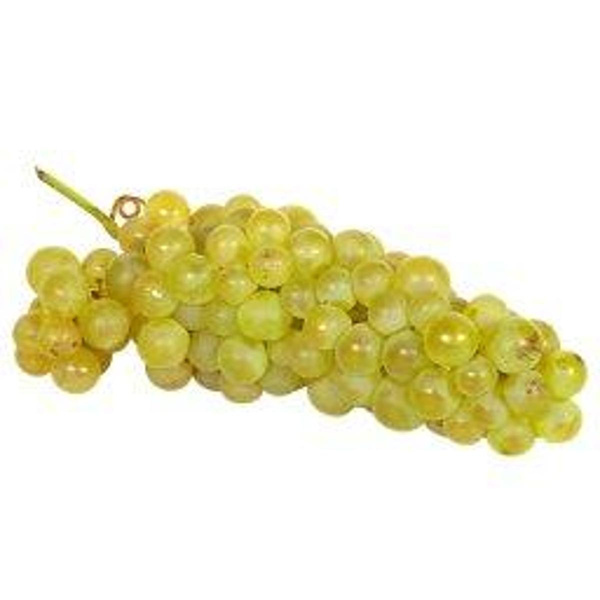 Photo de produit pour Raisin blanc Danlas