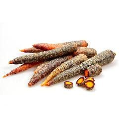 Photo de produit pour Carotte pourpre