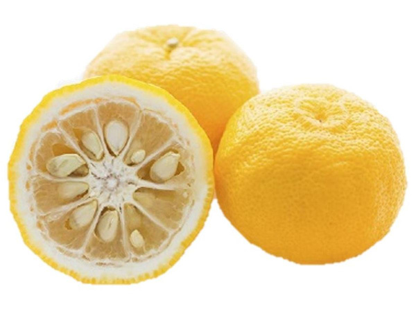 Photo de produit pour Citron Yuzu Corse (disponibilité incertaine)