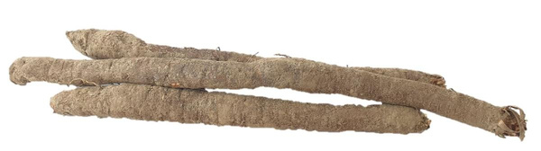 Photo de produit pour Salsifis