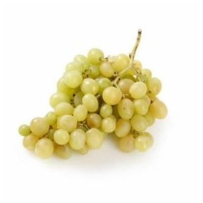 Photo de produit pour Raisin blanc sans pépins KELLY Italie