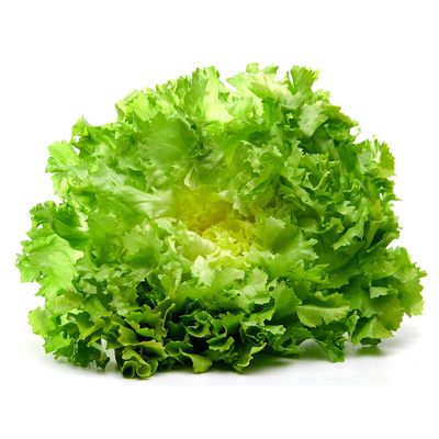 Photo de produit pour Scarole plate