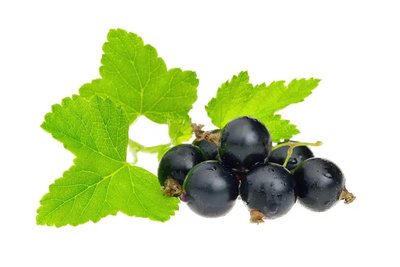Photo de produit pour Cassis barquette 250g