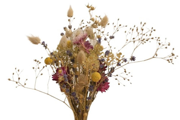Photo de produit pour Bouquet fleurs séchées