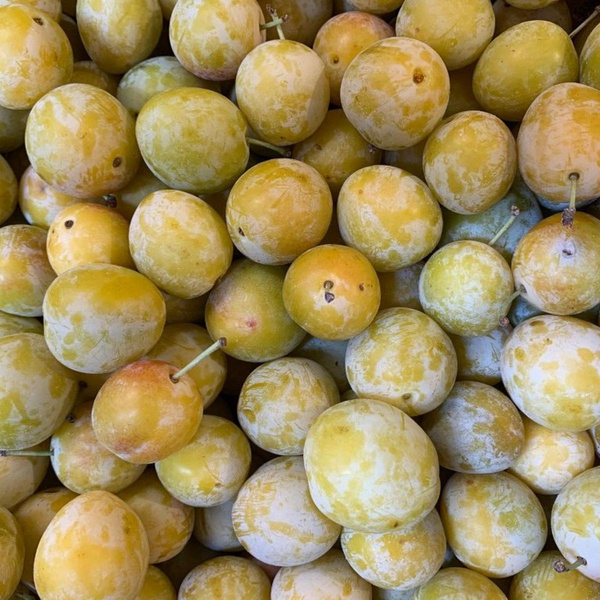 Photo de produit pour Colis Mirabelles 2kg