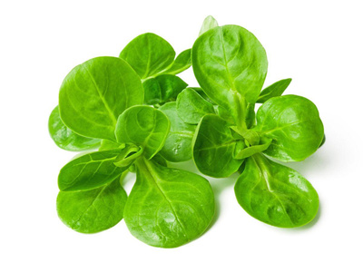 Photo de produit pour Mâche PROMO 350g