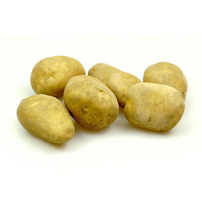 Photo de produit pour Filet de pomme de terre à tout faire 10kg