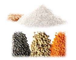 Photo de produit pour L'Epicier