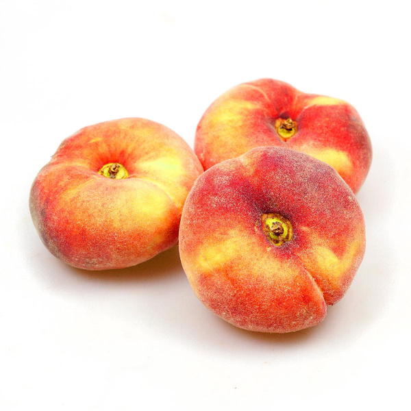 Photo de produit pour Pêche plate