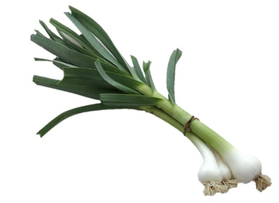 Photo de produit pour Aillet botte