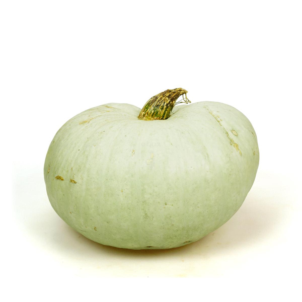 Photo de produit pour Potimarron bleu de Hongrie