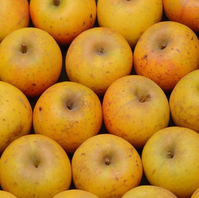 Photo de produit pour Colis Pomme Goldrush 3kg