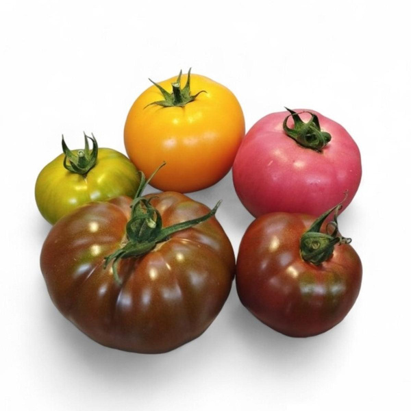 Photo de produit pour Tomate couleur mixte