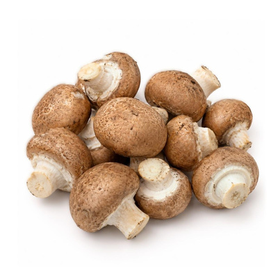 Photo de produit pour Champignon frais Alsacien
