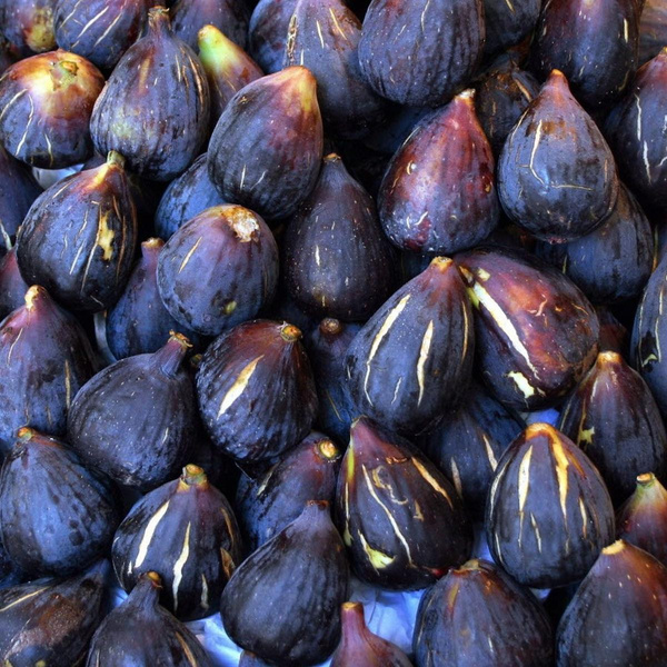 Photo de produit pour Figue fraîche colis 1kg