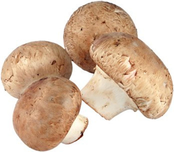 Photo de produit pour Champignon crème panier de 1kg
