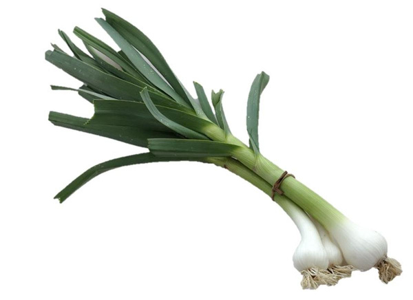 Photo de produit pour Aillet botte