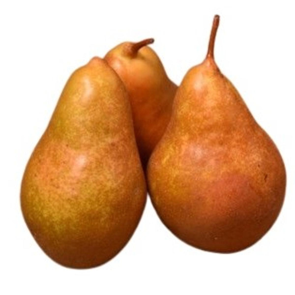 Photo de produit pour Poire Alsace Novembra