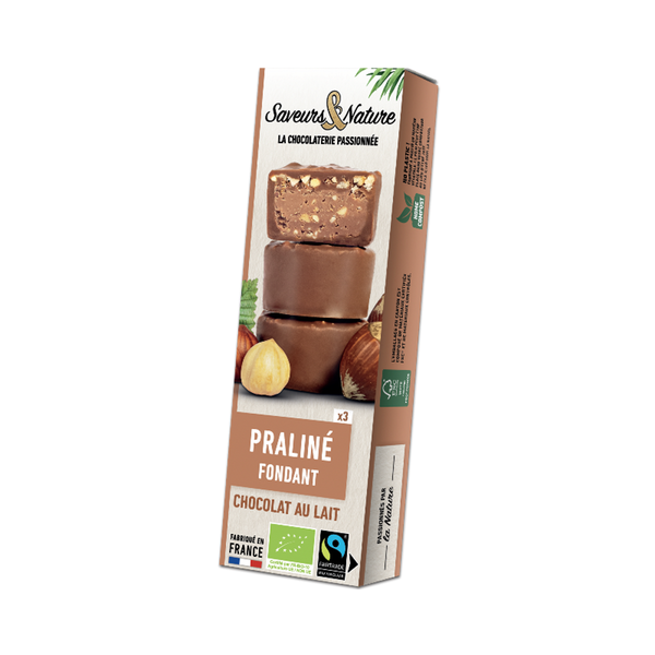 Photo de produit pour Rocher praliné noisette enrobés de chocolat au lait 3x15g