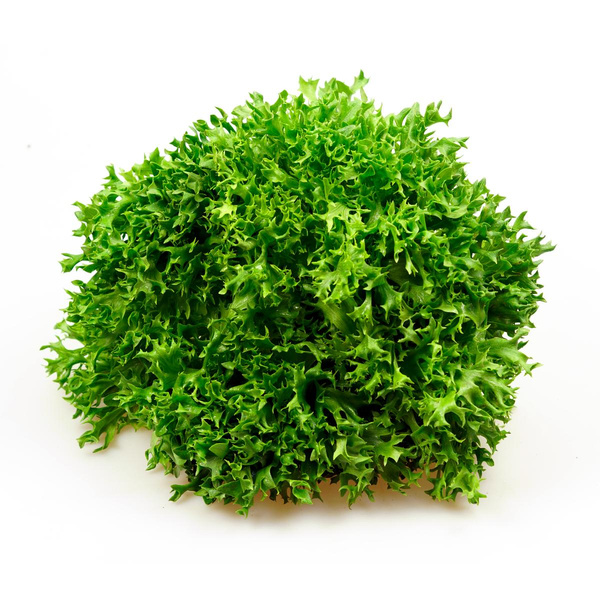 Photo de produit pour Salade multifeuille frisée