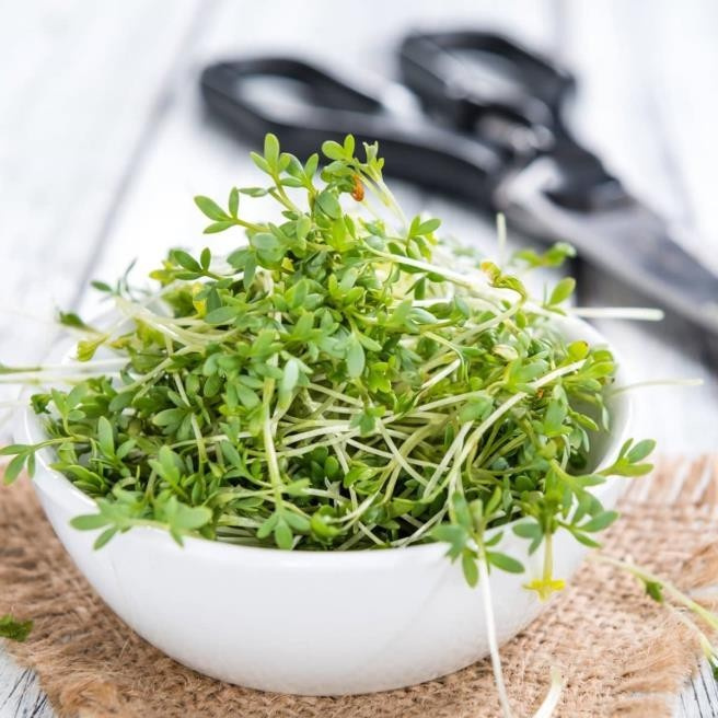 KI generiert: Das Bild zeigt ein gebackenes Gericht aus Kartoffeln und möglicherweise weiteren Zutaten wie Zwiebeln und Gemüse in einer rechteckigen Form. Eine Gabel und ein Löffel liegen darauf.