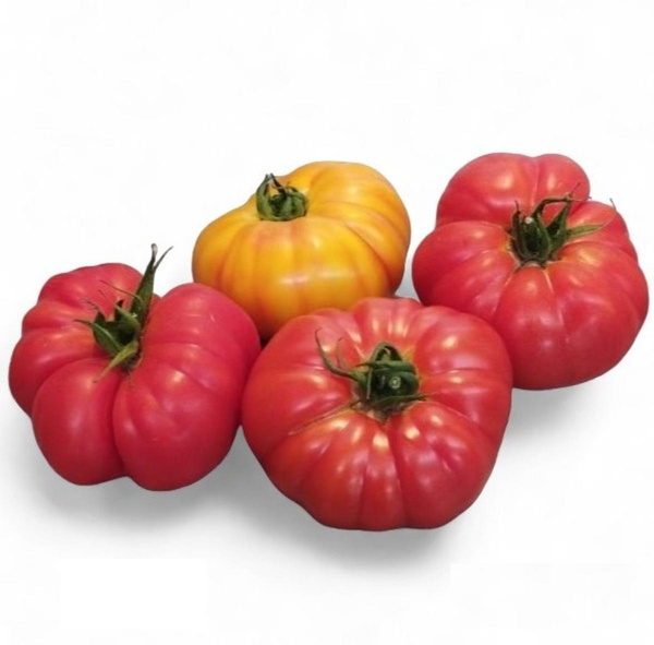 Photo de produit pour Tomates spéciales mixte