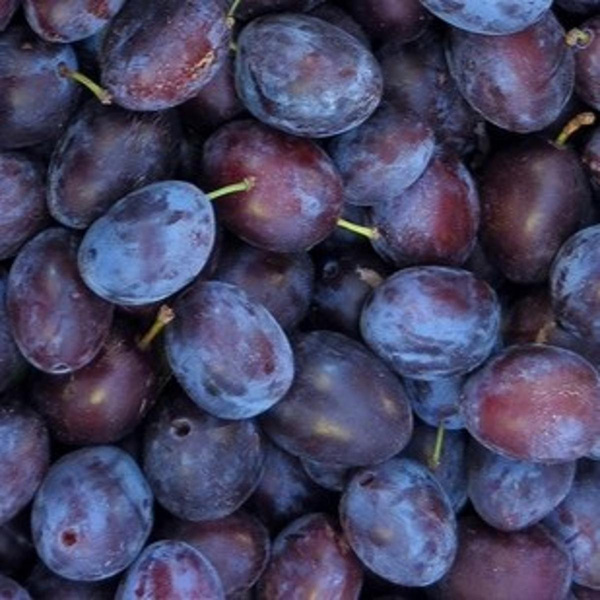 Photo de produit pour Prune Reine Claude