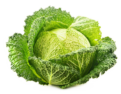 Photo de produit pour Chou vert frisé