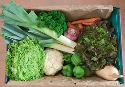 Photo de produit pour Légumes complet +