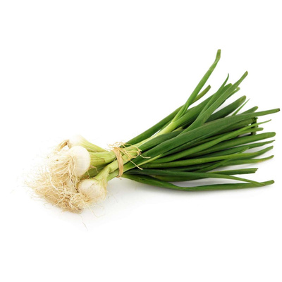 Photo de produit pour Oignons nouveaux botte